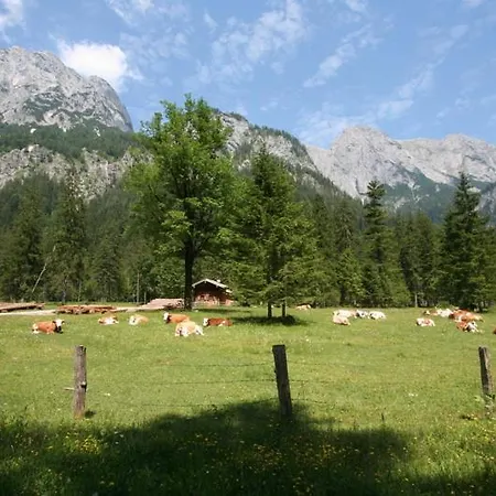Knotzenlehen