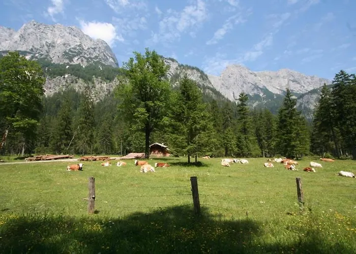 Knotzenlehen